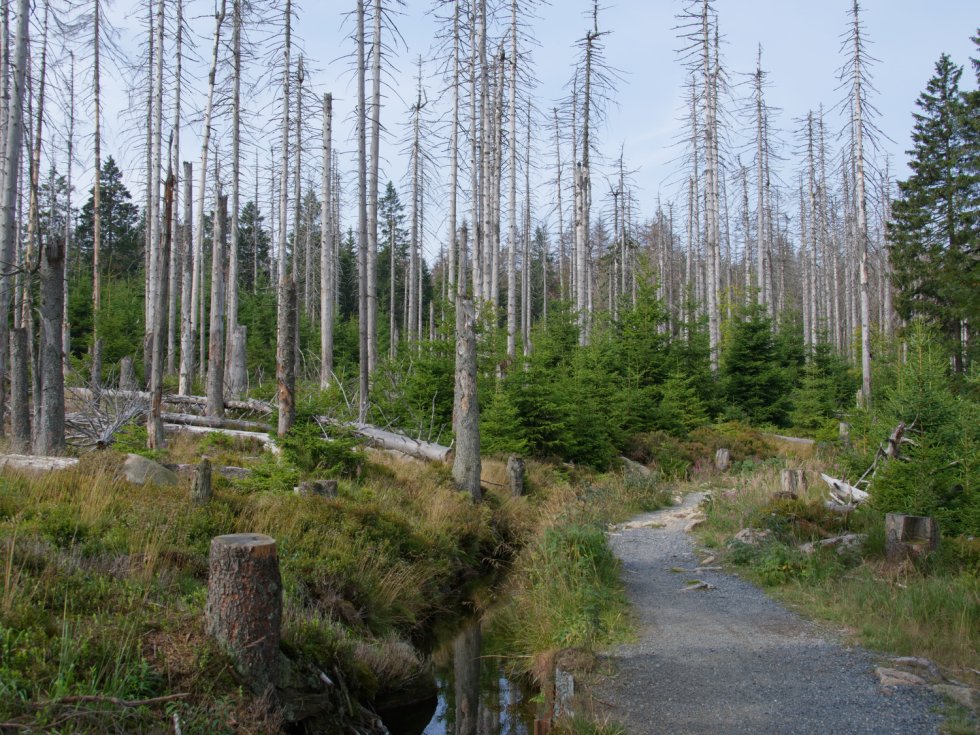 © Helmut Schmidt / Fotolia.com