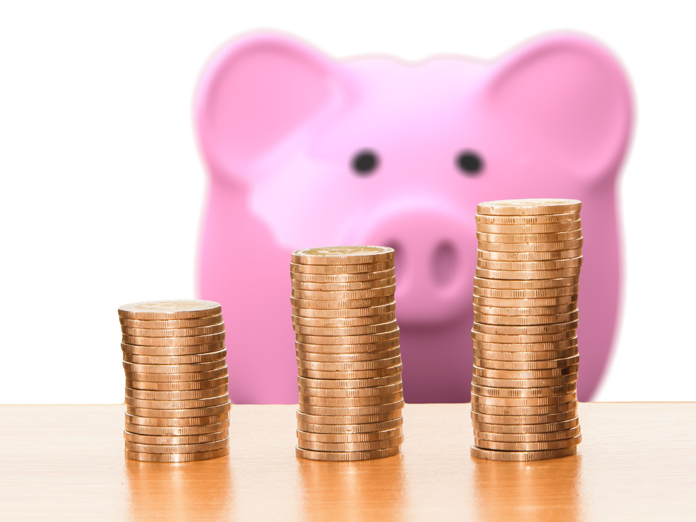 Münzen vor Sparschwein / © geralt – pixabay.com