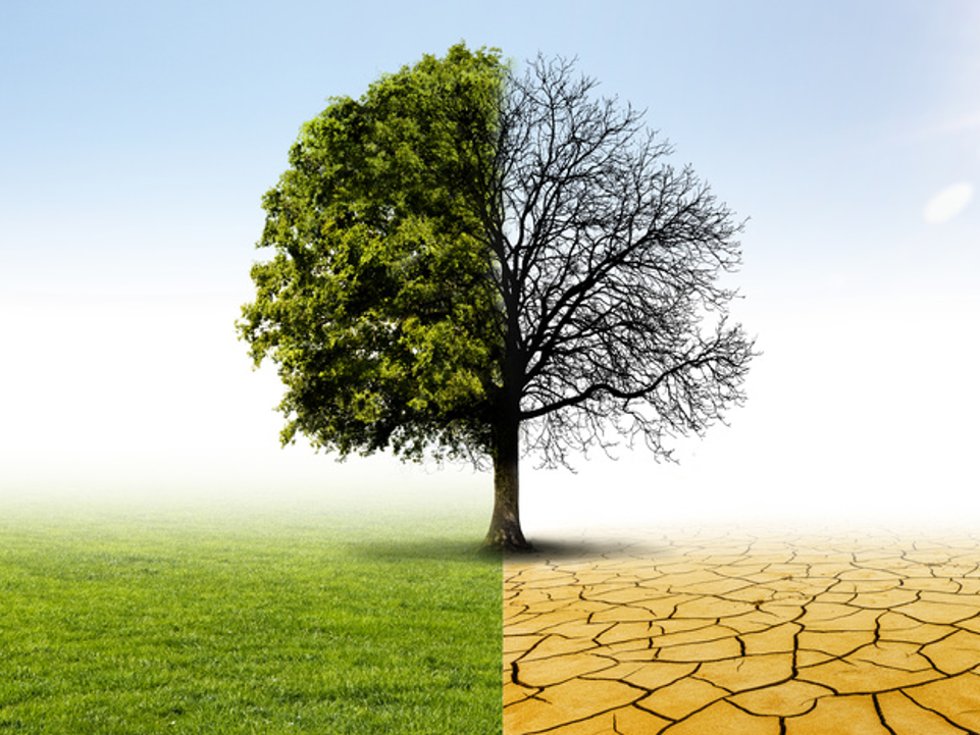 © nyul by-studio / fotolia.com