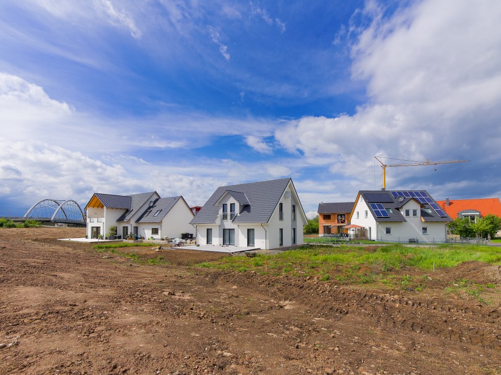 superingo / stock.adobe.com