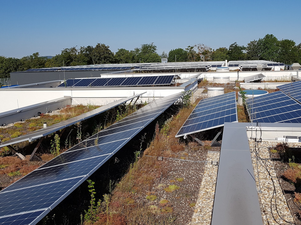Die installierten Photovoltaikanlagen decken überwiegend den Eigenstrombedarf des Bildungs- und Sportzentrums. Pro Jahr können von rund 178 Tonnen klimaschädliches Kohledioxid vermieden werden. Foto: Stadt Koblenz
