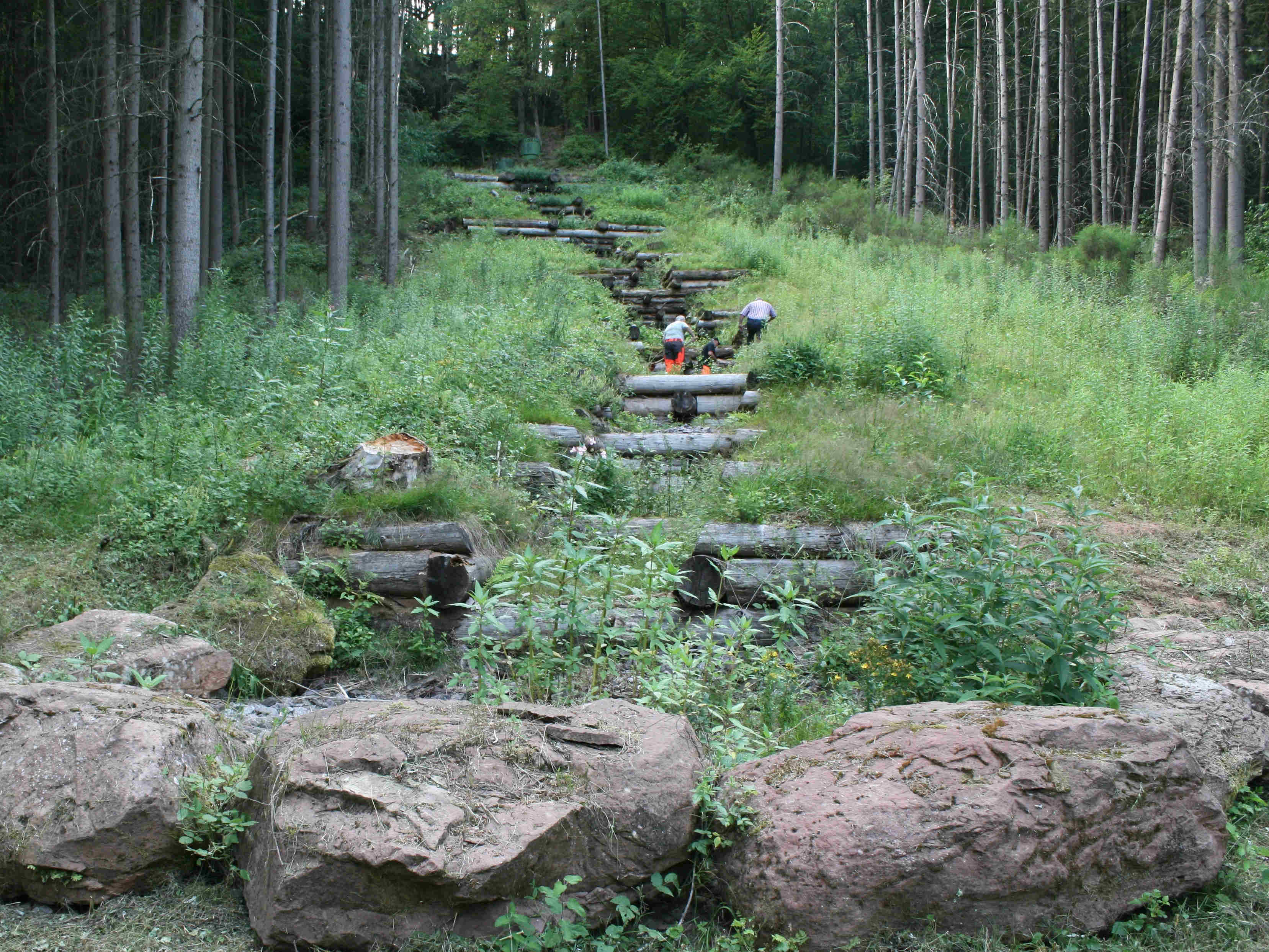 Naturnaher Holzkastenverbau zur Ableitung von Oberflächenwasser