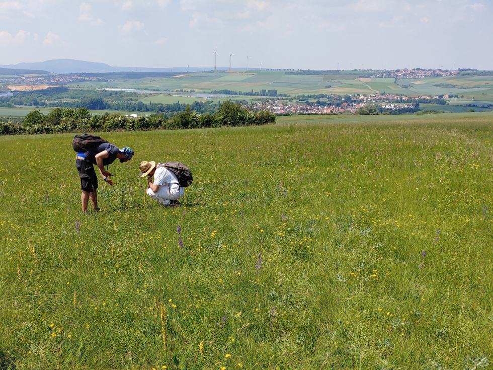 Erfassen, was vorhanden ist: Das Kartieren zählt zu den Aufgaben der Studierenden, bevor es ans Entwickeln gestalterischer Vorschläge gehen kann.    