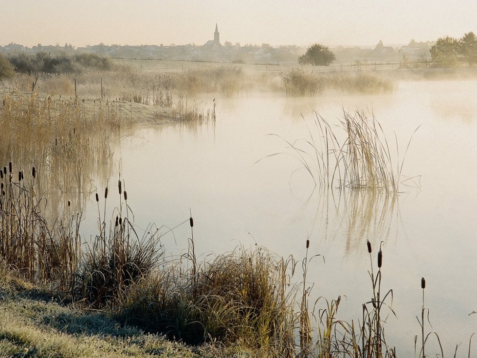 © Verbandsgemeinde Wittlich-Land