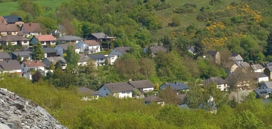 Im Zeichen der Hänge: Die Ortsgemeinde Trimbs stand einst für den Anbau edler Riesling-Tropfen. Bis heute hat sich das Weinfest als Institution erhalten – seit 2015 gibt es sogar einen eigenen Wein, den „Trimbser Obermark“. Foto: Ortsgemeinde Trimbs