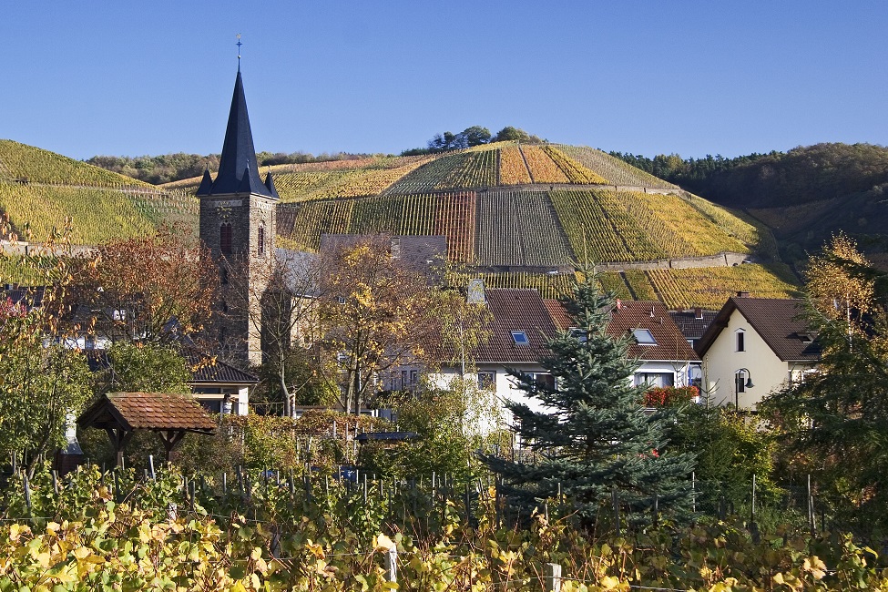 © Ortsgemeinde Dernau an der Ahr