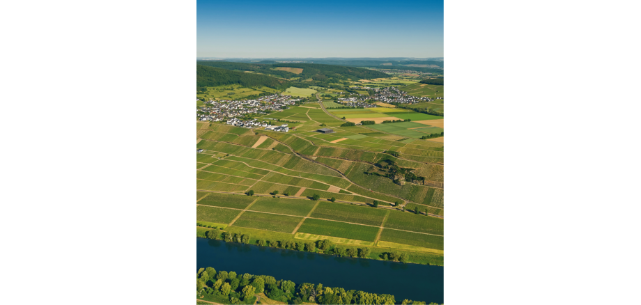 Die Ortsgemeinde Osann-Monzel aus der Vogelperspektive.