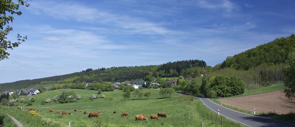 © Ortsgemeinde Schmißberg