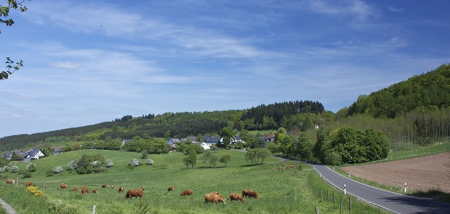 © Ortsgemeinde Schmißberg