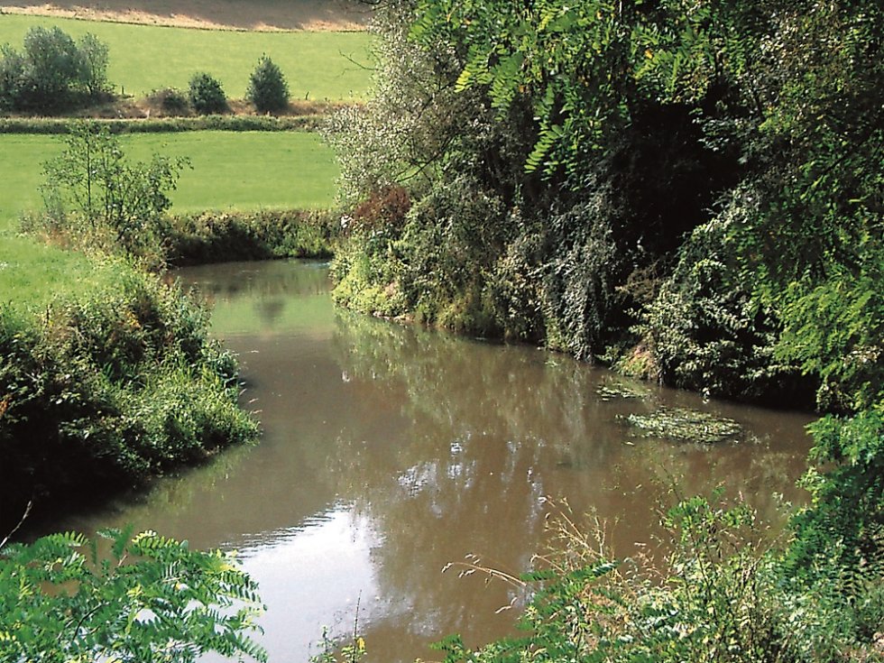 © Verbandsgemeinde Glan-Münchweiler