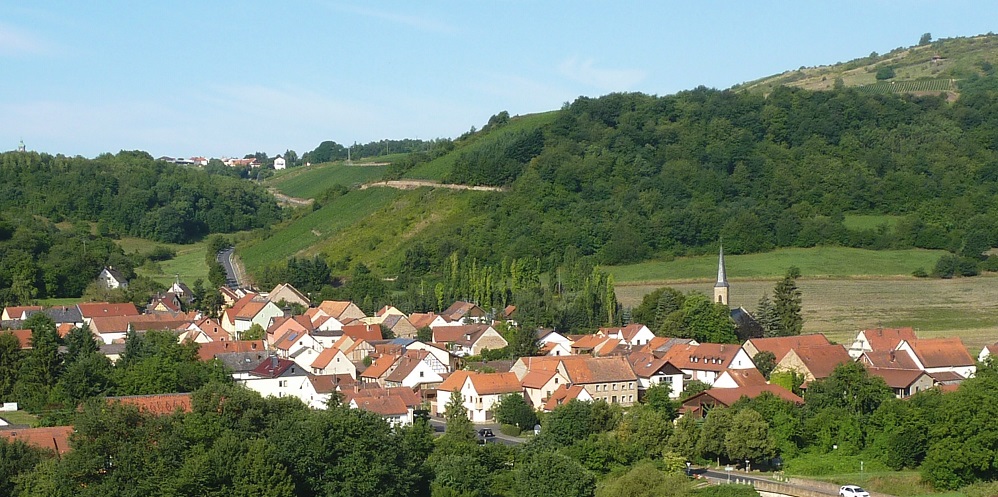 Attraktives Dorf in attraktiver Landschaft – das ist Oberhausen an der Nahe. / © Ortsgemeinde Oberhausen/Nahe