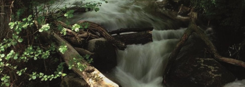 © Verbandsgemeinde Pellenz