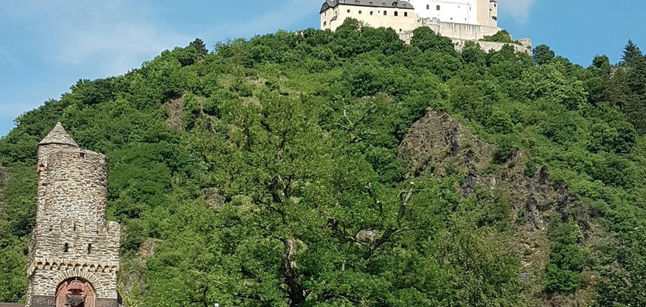 Unterhalb der imposanten Marksburg liegt das mittelalterliche Städtchen Braubach. © Foto: Joachim Müller