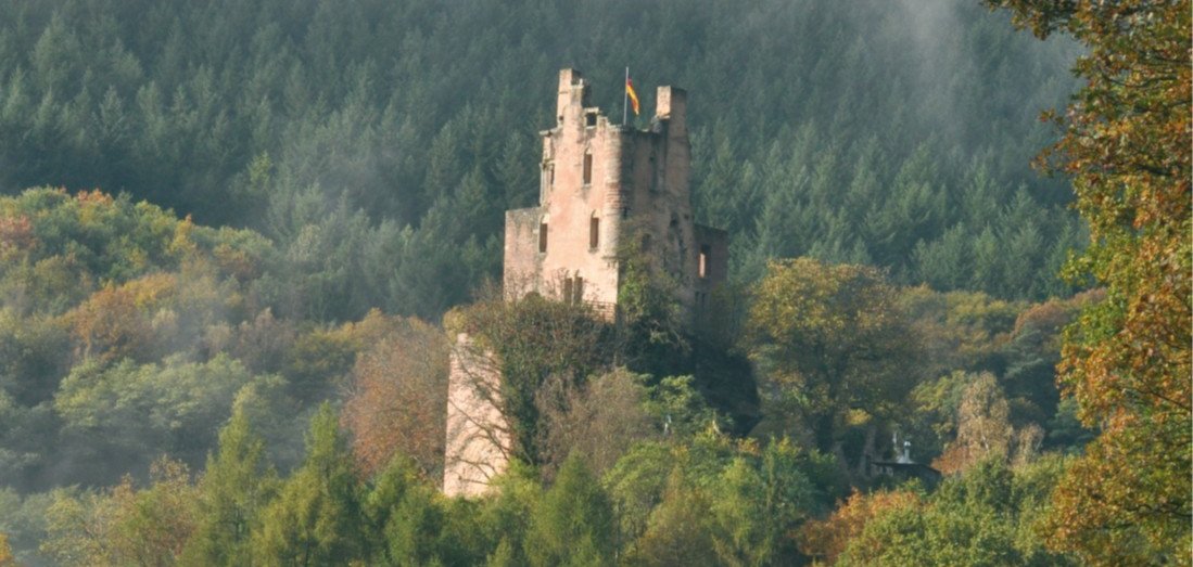 Ruine einer Burg im Wald.