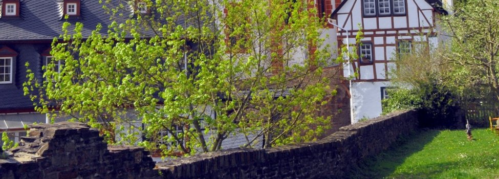 © Ortsgemeinde Ediger-Eller