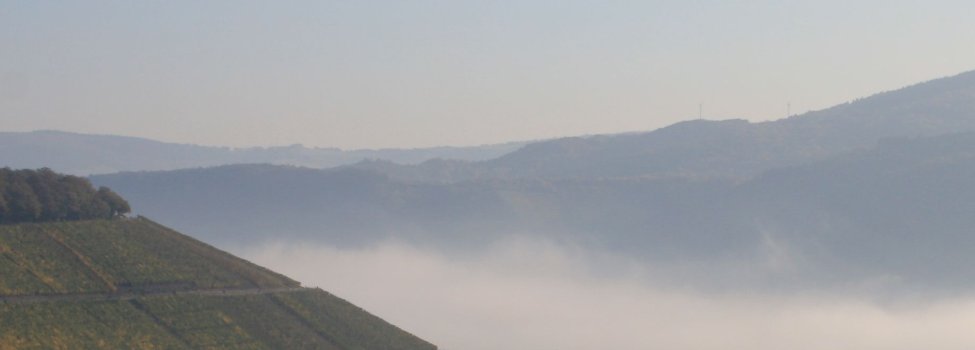 Mehr als nur Weinidylle – die Ortsgemeinde Ayl in der Verbandsgemeinde Saarburg. / © Verbandsgemeinde Saarburg