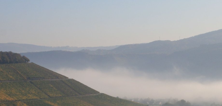 Mehr als nur Weinidylle – die Ortsgemeinde Ayl in der Verbandsgemeinde Saarburg. / © Verbandsgemeinde Saarburg