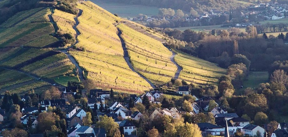 Umgeben von Weinbergen und am Ufer der Mosel gelegen: Die Ortsgemeinde Mülheim zählt zu den attraktiven Orten in der Grafschaft Veldenz.