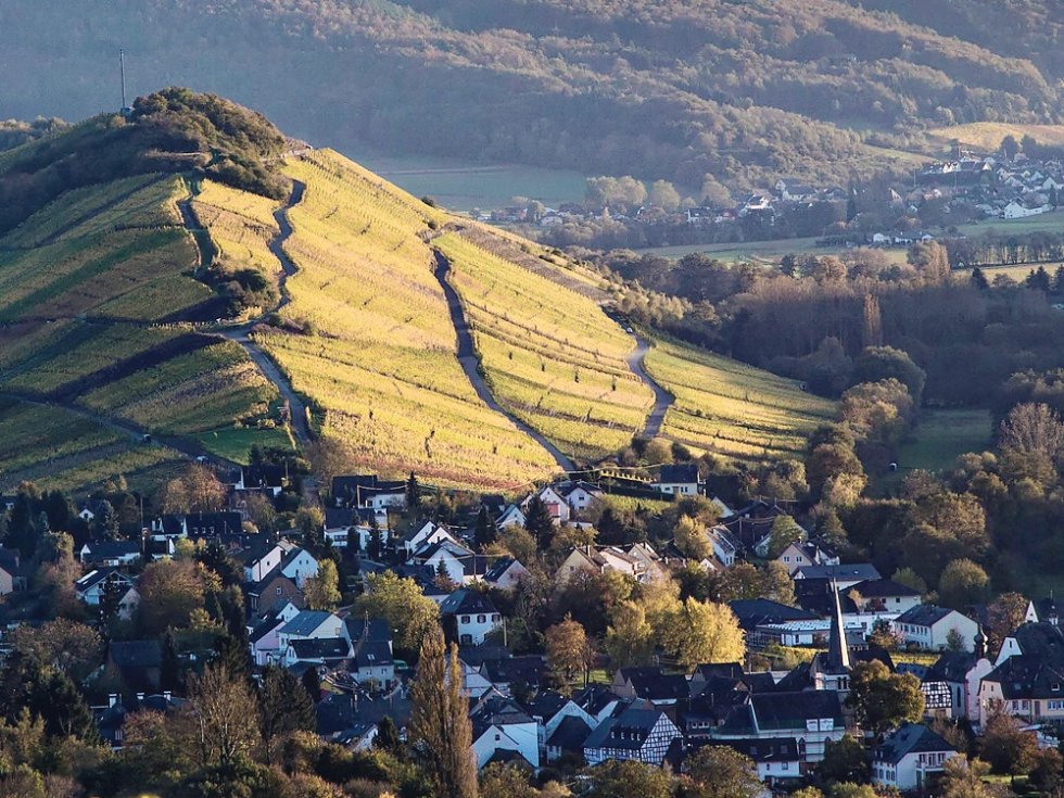 Umgeben von Weinbergen und am Ufer der Mosel gelegen: Die Ortsgemeinde Mülheim zählt zu den attraktiven Orten in der Grafschaft Veldenz.