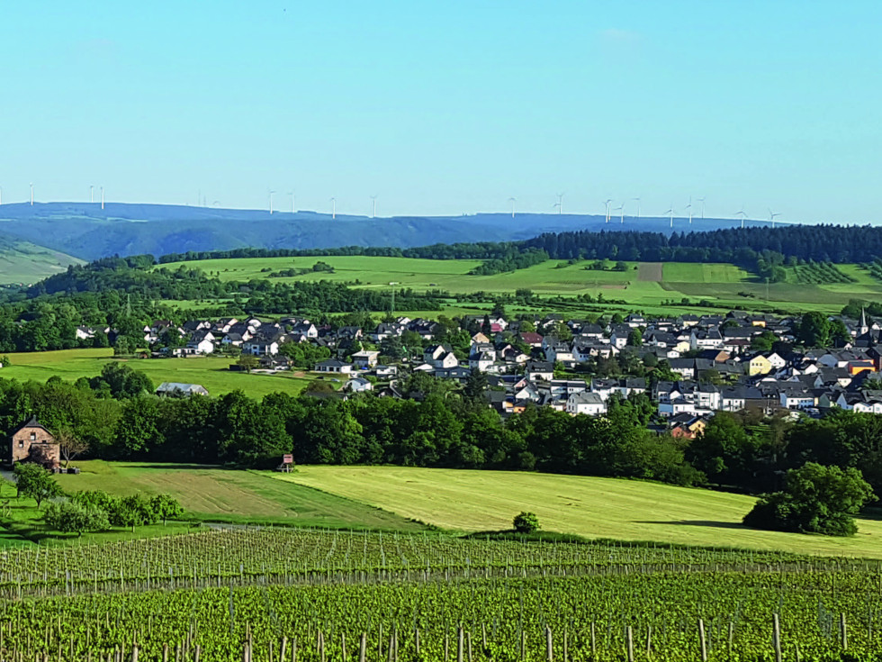 Die Doppelgemeinde Maring-Noviand liegt bezaubernd im Urstromtal der Mosel. Schon die Römer bauten hier Wein an. © Klaus Becker