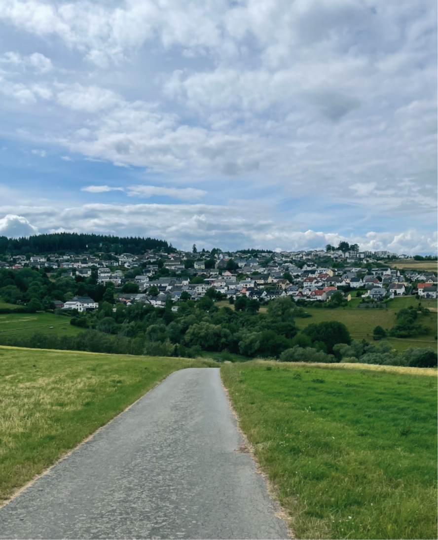 Blick auf die Ortsgemeinde Pellingen.