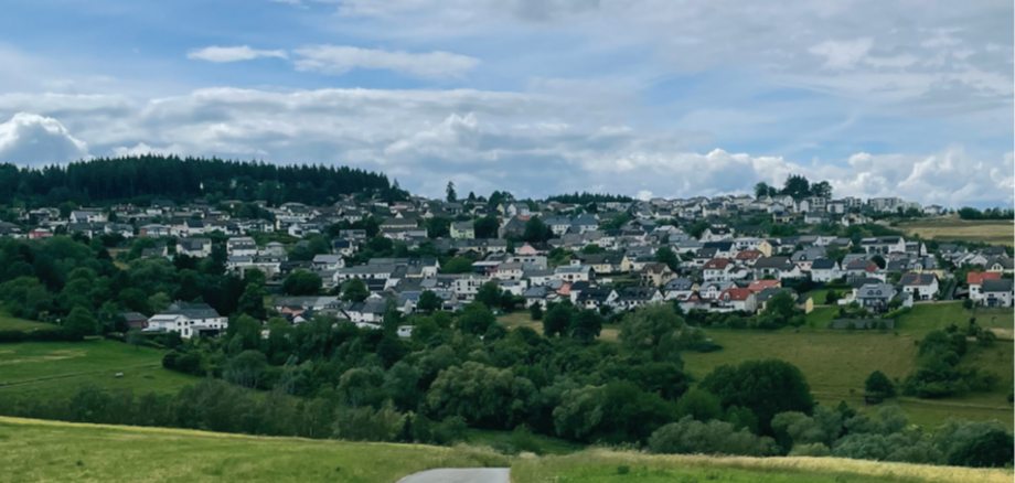 Blick auf die Ortsgemeinde Pellingen.