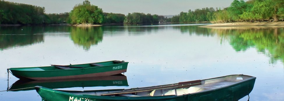 Naherholung wird groß geschrieben in der neuen Verbandsgemeinde Rheinauen – hier am Otterstädter Altrheinarm. / © Patrick Stahl