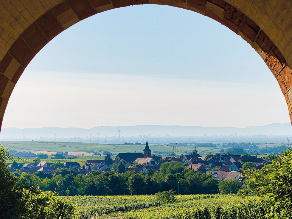 Blick auf Sausenheim: Der Stadtteil von Grünstadt ist geprägt vom Weinbau und lockt mit seiner alljährlich im August stattfindenden Kerwe die Besucher an.