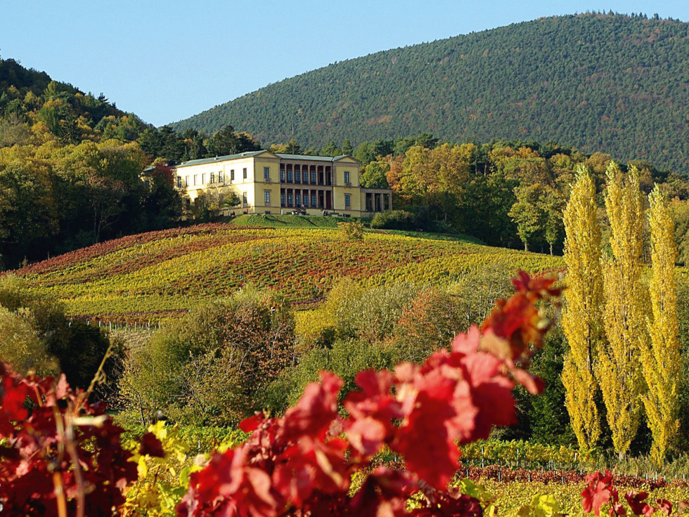 Die Villa Ludwigshöhe (erbaut 1846–1852) ist der ehemalige Sommersitz des Königs Ludwig I. von Bayern. Als Außenstelle des Landesmuseums Mainz wird in der Max-Slevogt-Galerie ein großer Teil des künstlerischen Nachlasses des Malers präsentiert. Copy: Stadt Edenkoben