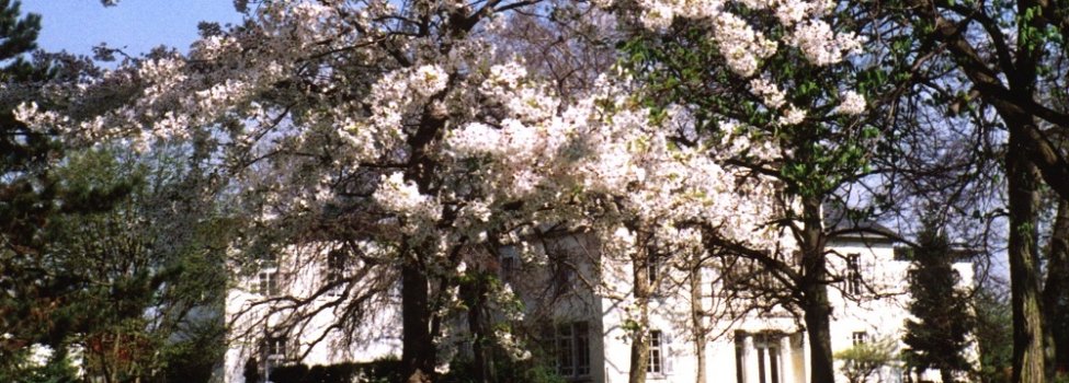 Das klassizistische Schlösschen mit seinem einladenden Park, erbaut von den Grafen Waldner de Freundstein im Jahre 1826. / © Gemeinde Limburgerhof