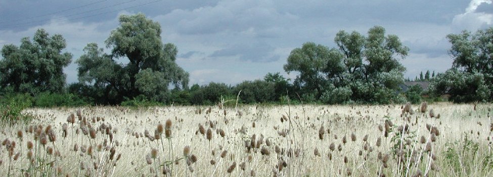 © Verbandsgemeinde Maxdorf