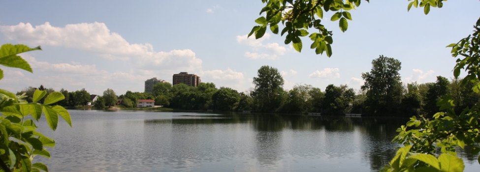 © Gemeinde Neuhofen