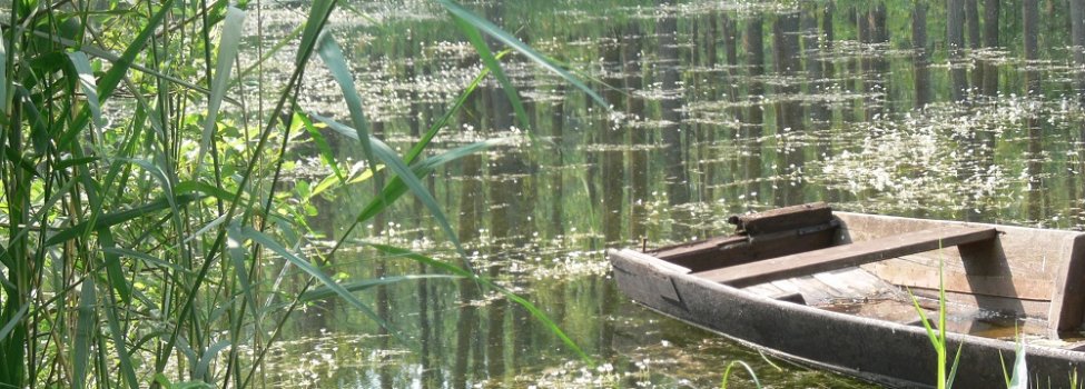 © Verbandsgemeinde Rülzheim