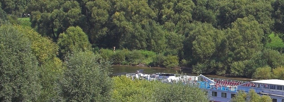 © Ortsgemeinde Reil