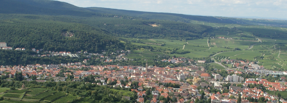 In Bad Dürkheim spielen Tourismus und der Gesundheitsfaktor eine große Rolle. / © Stadt Bad Dürkheim
