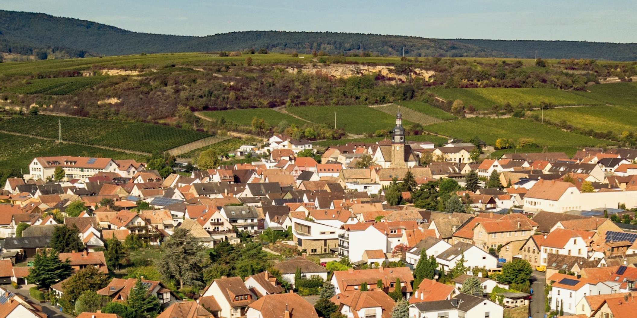 Blick auf den Edelweinort Kallstadt – Ortsmittelpunkt und Blickfang ist die St. Salvator Kirche (erbaut 1772) mit ihrem 36 m hohen Turm. Besonders sehenswert sind die zahlreichen Fachwerkhäuser und Winzerhöfe.