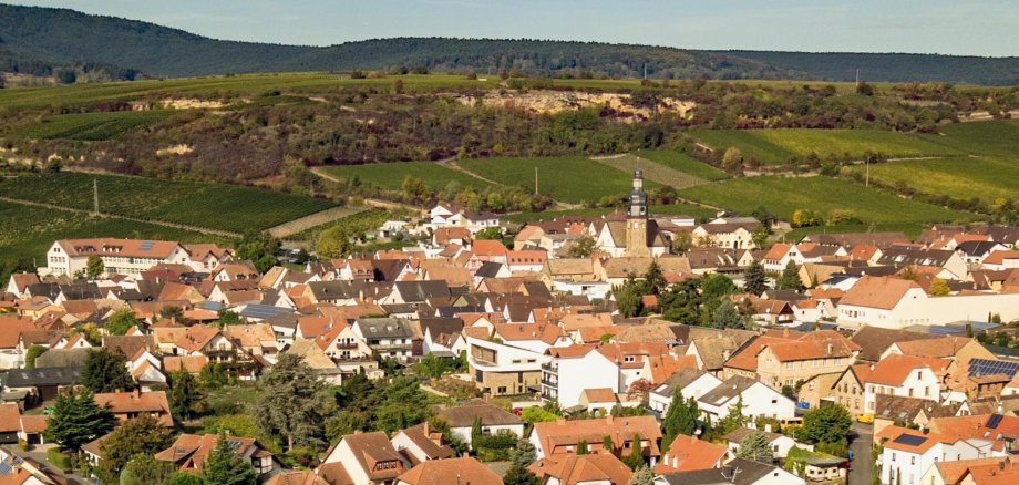 Blick auf den Edelweinort Kallstadt – Ortsmittelpunkt und Blickfang ist die St. Salvator Kirche (erbaut 1772) mit ihrem 36 m hohen Turm. Besonders sehenswert sind die zahlreichen Fachwerkhäuser und Winzerhöfe.