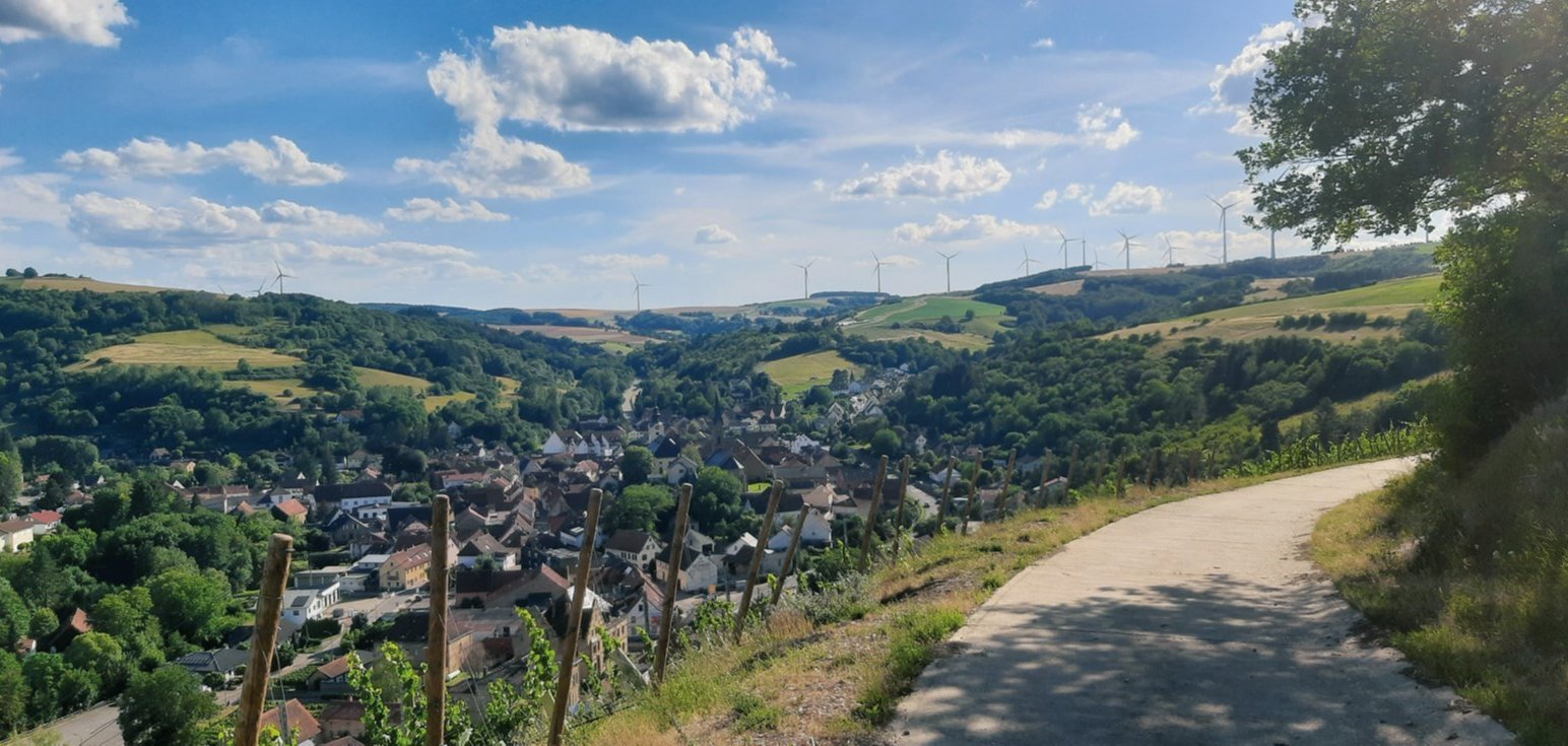 Blick aus den Weinbergen auf die Stadt Obermoschel.