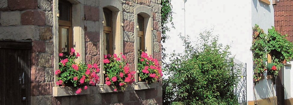 © Ortsgemeinde Friedelsheim