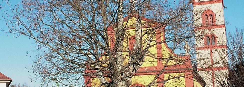 © Verbandsgemeinde Nieder-Olm