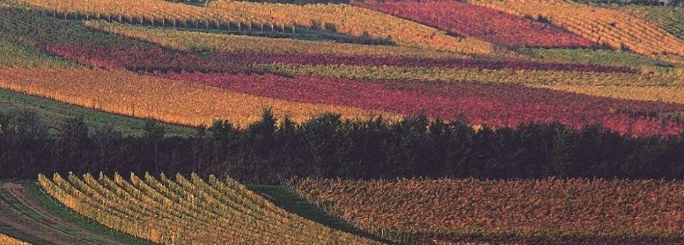 © Verbandsgemeinde Westhofen