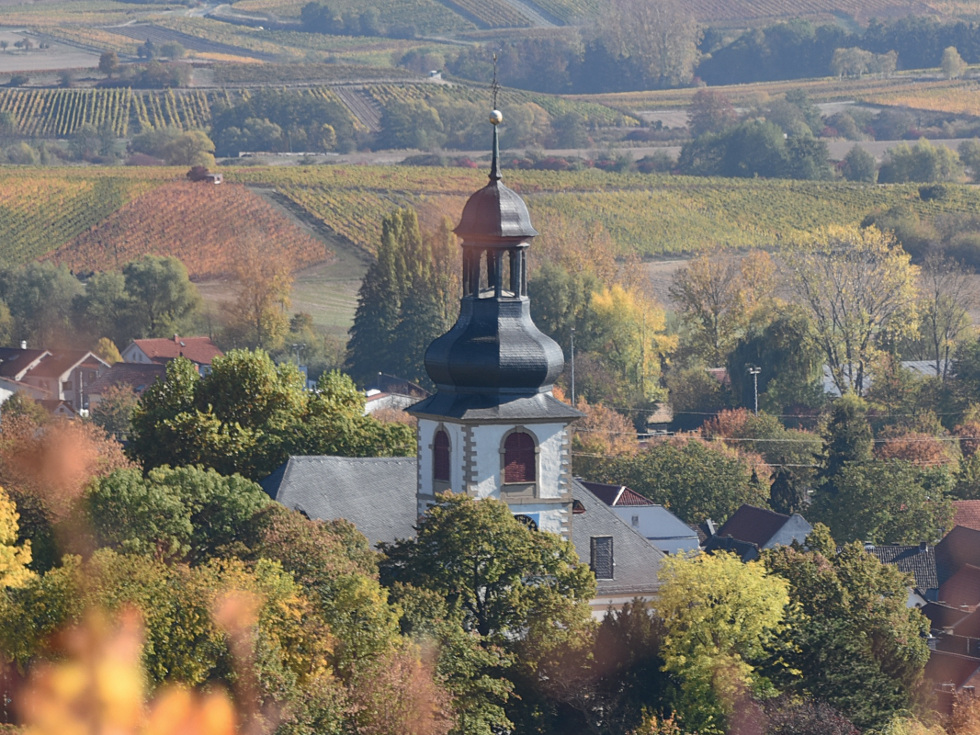 Die Martinskirche markiert die Ortslage in Jugenheim inmitten der Rebenhügel. Foto: Gemeinde Jugenheim