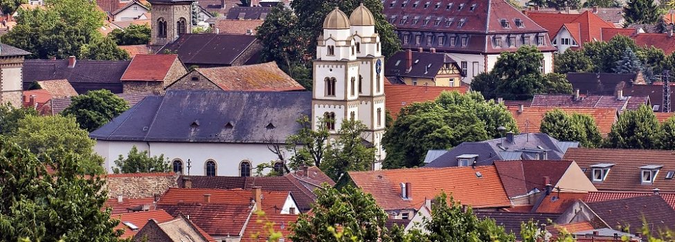 © Verbandsgemeinde Guntersblum