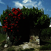 © Verbandsgemeinde Eich