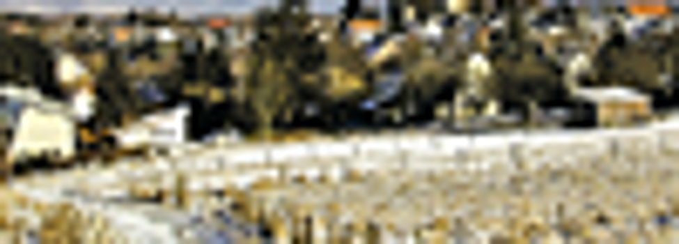 © Ortsgemeinde Horhausen