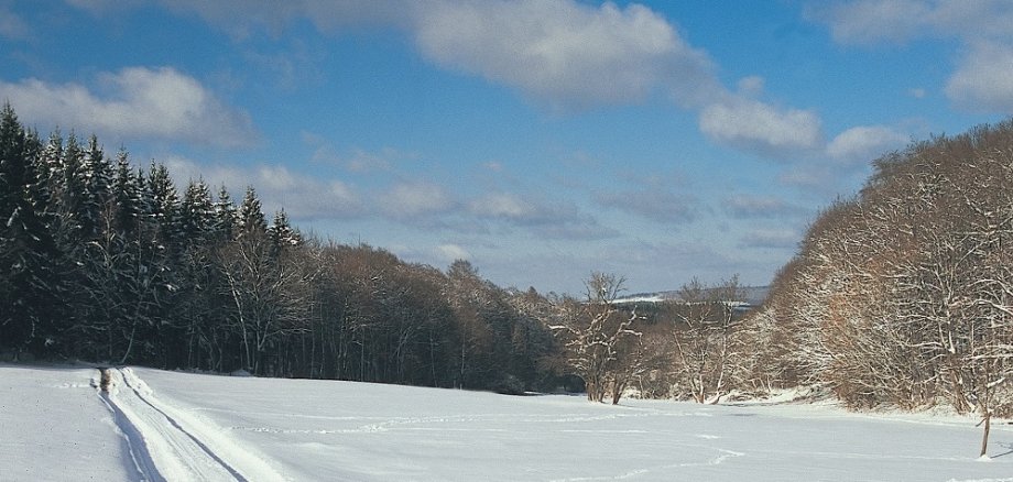 Winterliche Idylle bei Breitsesterhof – ein kleiner Weiler im Nordpfälzer Bergland zwischen Thal lichtenberg und Baumholder. Aufgrund des Landschaftsfaktors ist die Region sehr gut zum Bergtraining für Radsportler geeignet. / Foto: Bruno L. Klamm, Mannheim