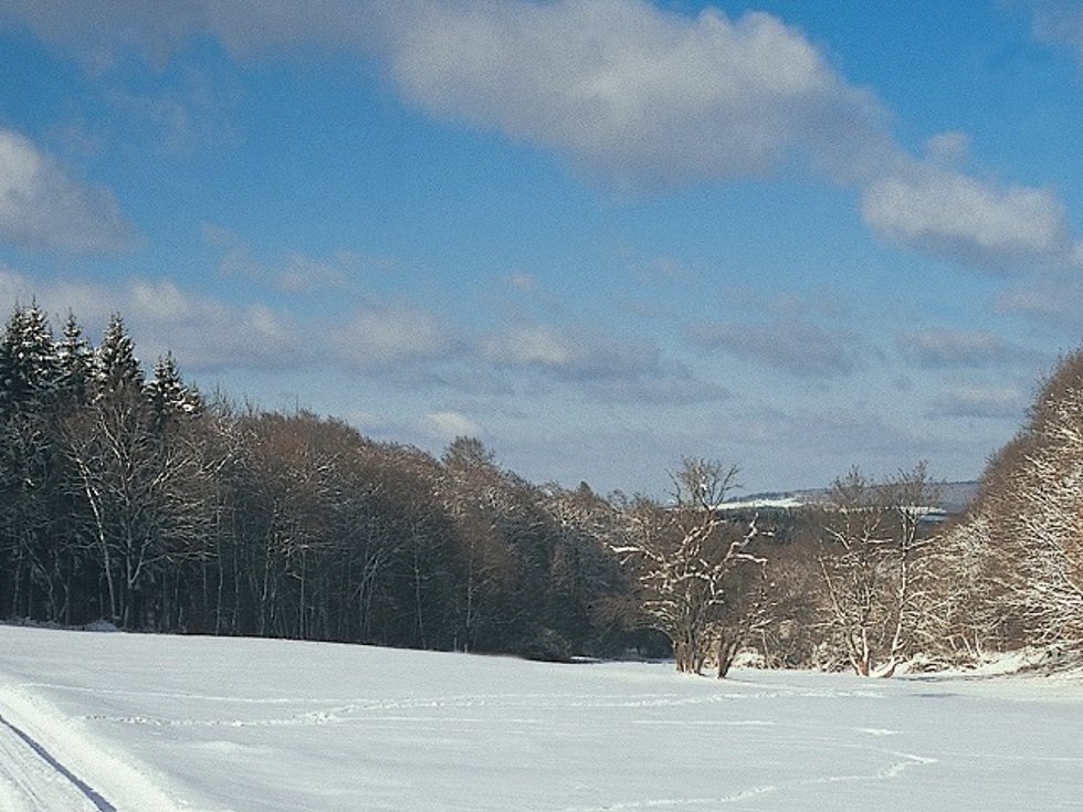 Winterliche Idylle bei Breitsesterhof – ein kleiner Weiler im Nordpfälzer Bergland zwischen Thal lichtenberg und Baumholder. Aufgrund des Landschaftsfaktors ist die Region sehr gut zum Bergtraining für Radsportler geeignet. / Foto: Bruno L. Klamm, Mannheim