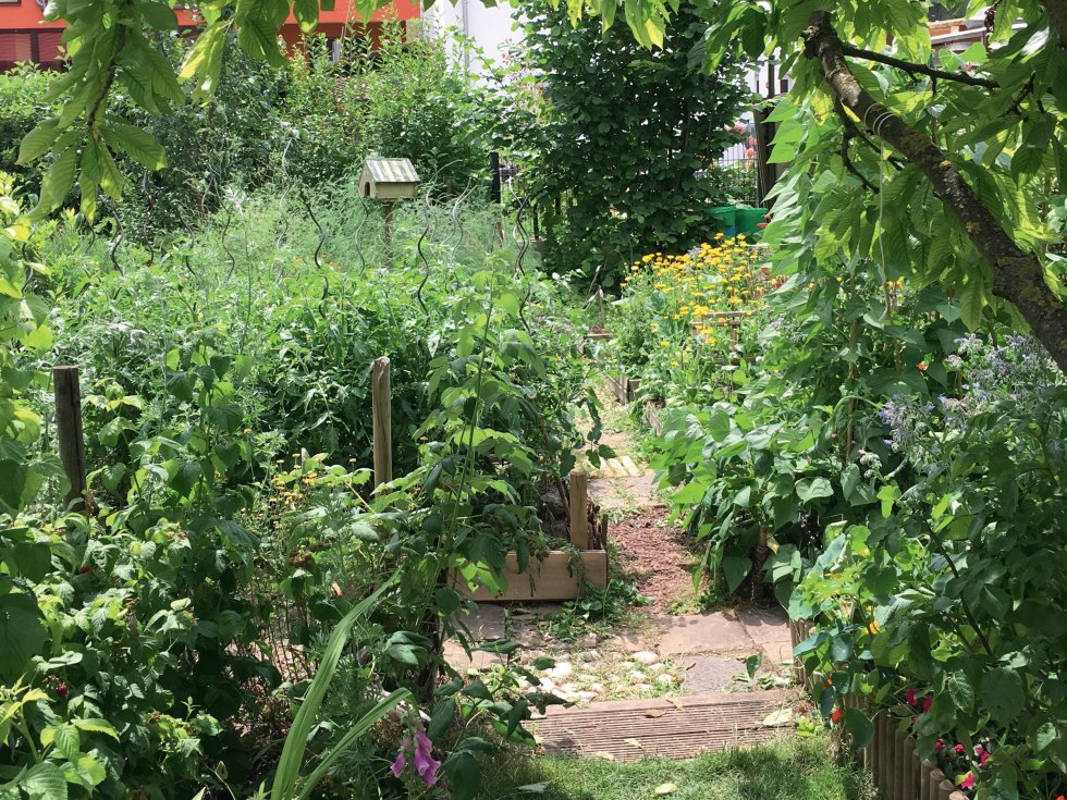 Thema blühende Gärten: Die positive Ausstrahlung des vielgestaltigen Hausgartens soll wieder in den Mittelpunkt rücken. Foto: Dr. Barbara Manthe-Romberg