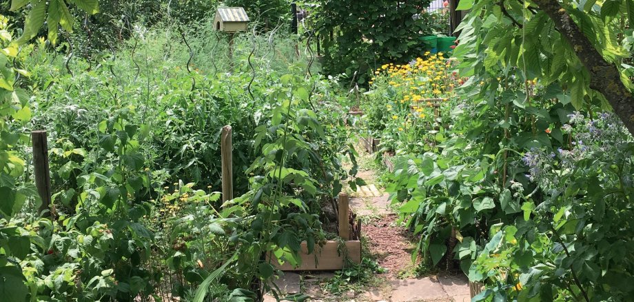 Thema blühende Gärten: Die positive Ausstrahlung des vielgestaltigen Hausgartens soll wieder in den Mittelpunkt rücken. Foto: Dr. Barbara Manthe-Romberg