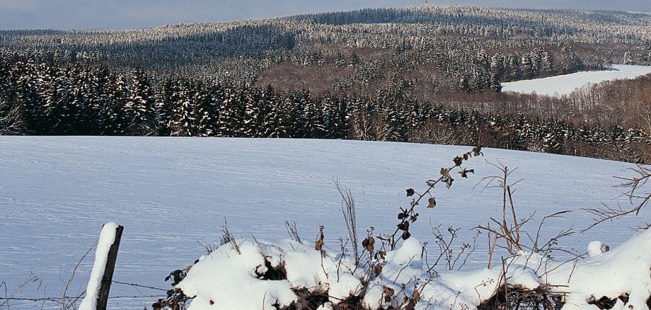Idyllische Schneelandschaft bei in der Schneifel (Verbandsgemeinde Prüm), ein schmucker Eifelort mit zahlreichen Erhlolungsmöglichkeiten. © Bruno L. Klamm, Mannheim